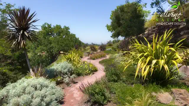 Divine Nature Landscape Design Los Altos, California