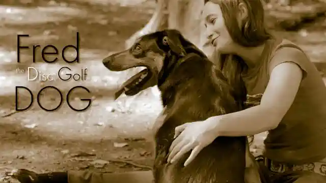 Fred the Disc Golf Dog Portland, Oregon