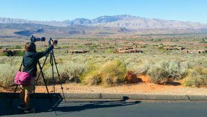 Us-Working-600pix-148