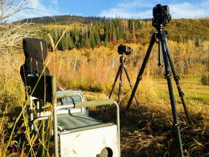 Us-Working-600pix-152